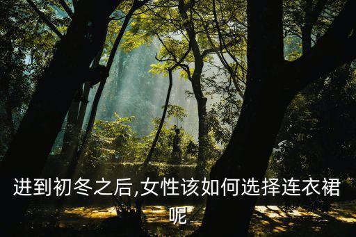 女士裙子冬季,女士冬季毛呢裙子