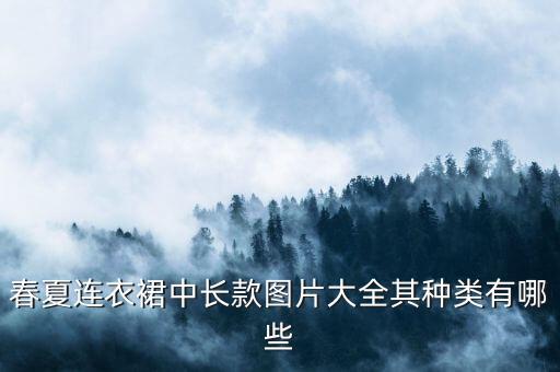 春夏连衣裙中长款图片大全其种类有哪些