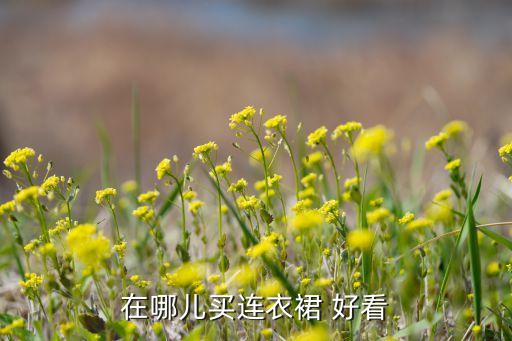 在哪儿买连衣裙 好看