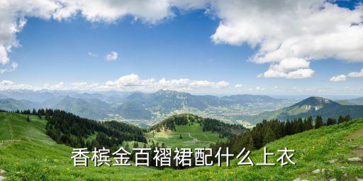  香槟金百褶裙配什么上衣