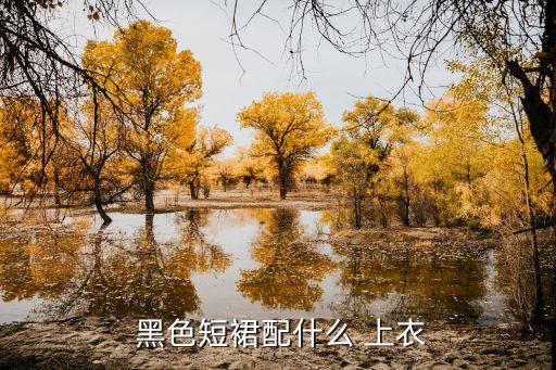  黑色短裙配什么 上衣