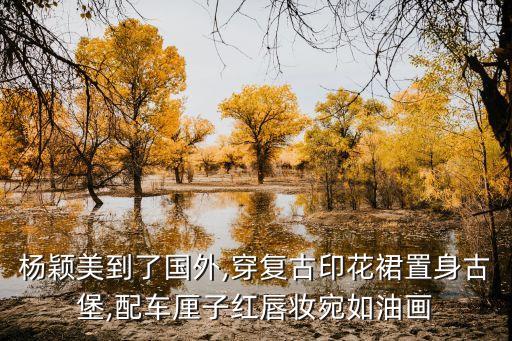 杨颖美到了国外,穿复古印花裙置身古堡,配车厘子红唇妆宛如油画