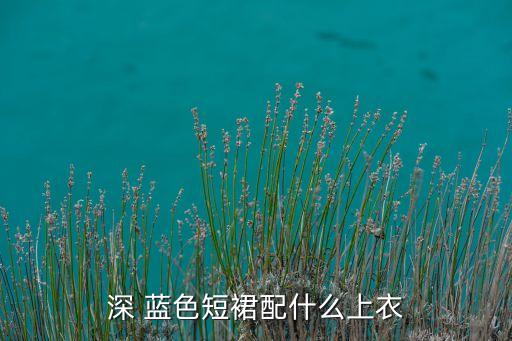 深 蓝色短裙配什么上衣