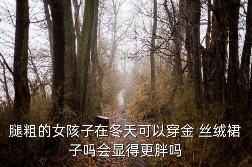 腿粗的女陔子在冬天可以穿金 丝绒裙子吗会显得更胖吗