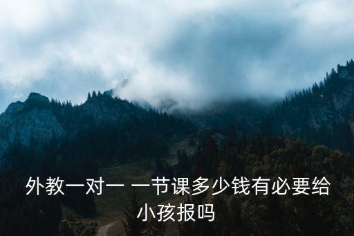  外教一对一 一节课多少钱有必要给小孩报吗