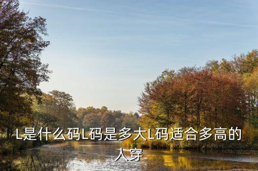 L是什么码L码是多大L码适合多高的人穿