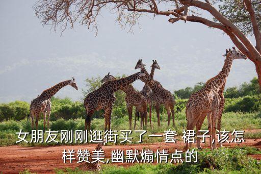 女朋友刚刚逛街买了一套 裙子,该怎样赞美,幽默煽情点的