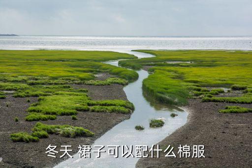 冬天 裙子可以配什么棉服