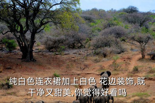 纯白色连衣裙加上白色 花边装饰,既干净又甜美,你觉得好看吗