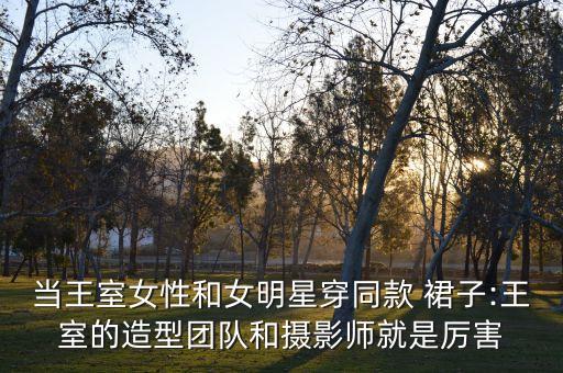 当王室女性和女明星穿同款 裙子:王室的造型团队和摄影师就是厉害