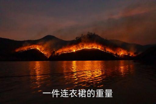 一件连衣裙的重量