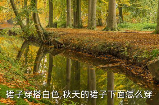 秋天裙子穿搭白色,秋天的裙子下面怎么穿