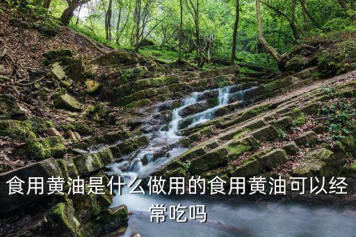 食用黄油是什么做用的食用黄油可以经常吃吗