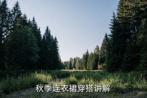 秋季连衣裙穿搭讲解