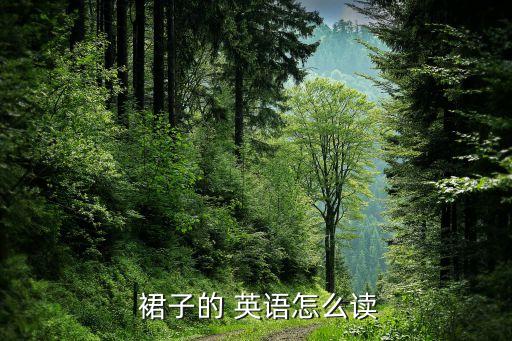  裙子的 英语怎么读