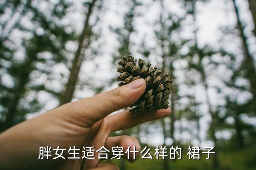 胖女生适合穿什么样的 裙子