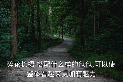 碎花长裙 搭配什么样的包包,可以使整体看起来更加有魅力