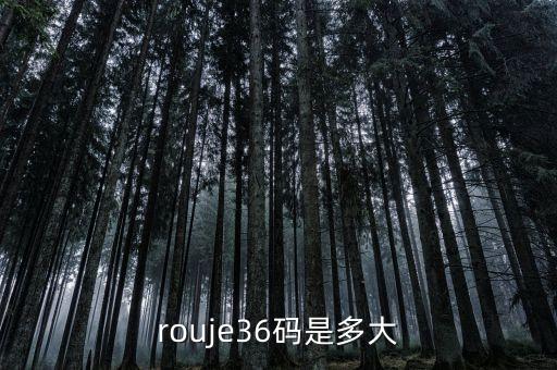 rouje36码是多大