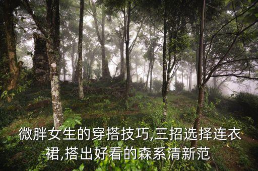 OL穿搭微胖穿搭裙子学生