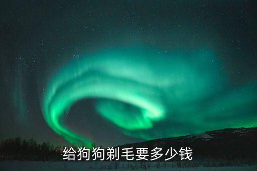 给狗狗剃毛要多少钱