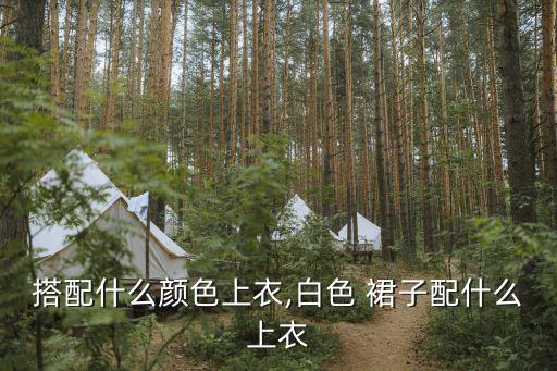 搭配什么颜色上衣,白色 裙子配什么上衣