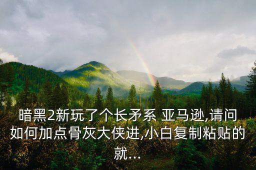 暗黑2新玩了个长矛系 亚马逊,请问如何加点骨灰大侠进,小白复制粘贴的就...