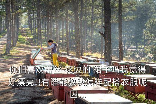 你们喜欢蕾丝 花边的 裙子吗我觉得好漂亮!!有谁能教我怎样配搭衣服呢因...