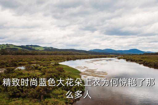 精致时尚蓝色大花朵上衣为何惊艳了那么多人