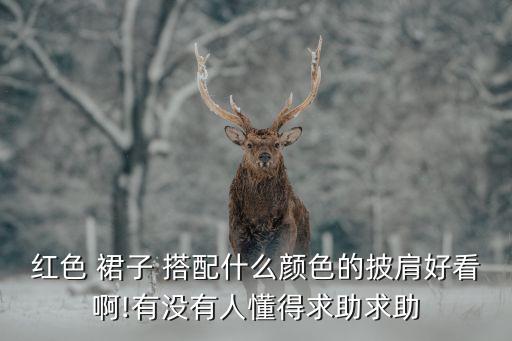 红色 裙子 搭配什么颜色的披肩好看啊!有没有人懂得求助求助