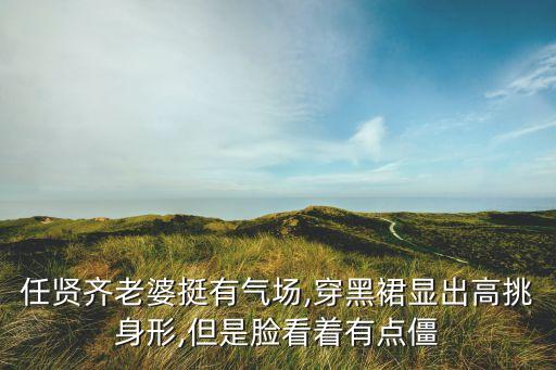 任贤齐老婆挺有气场,穿黑裙显出高挑身形,但是脸看着有点僵