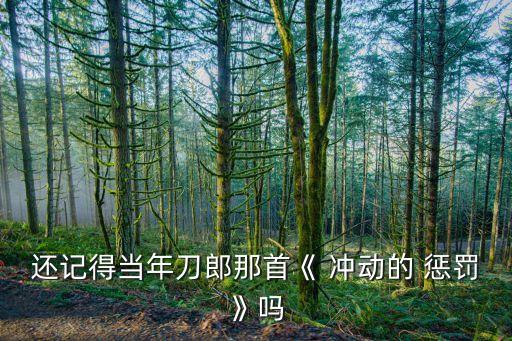 还记得当年刀郎那首《 冲动的 惩罚》吗