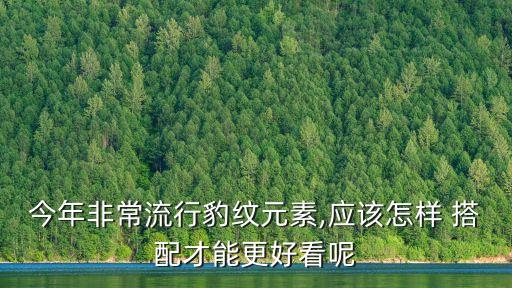 今年非常流行豹纹元素,应该怎样 搭配才能更好看呢