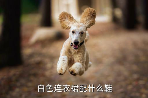 杜鹃白色裙子搭配什么鞋子