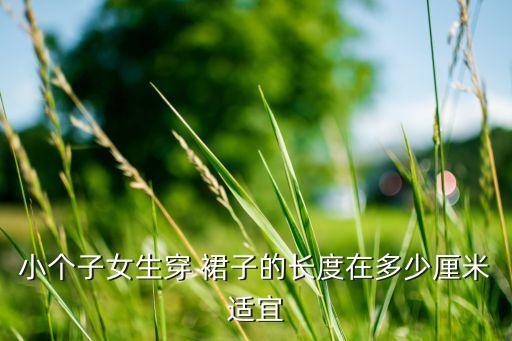 四岁女孩子穿多大裙子好看,七八岁的女孩子穿多大码