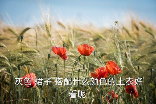  灰色 裙子 搭配什么颜色的上衣好看呢
