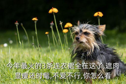 今年最火的3条连衣裙全在这了,遮肉显瘦还时髦,不爱不行,你怎么看