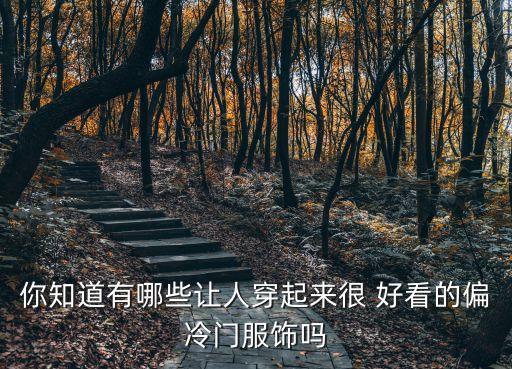 你知道有哪些让人穿起来很 好看的偏冷门服饰吗