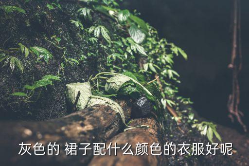  灰色的 裙子配什么颜色的衣服好呢