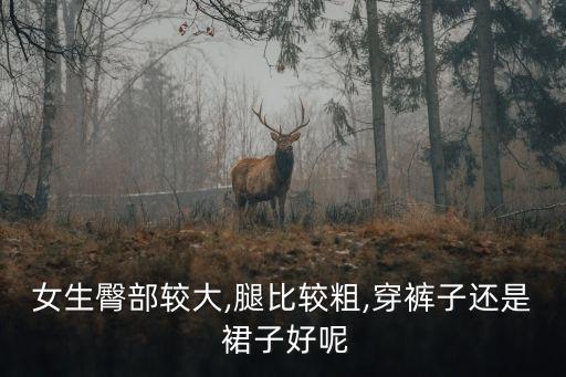 女生臀部较大,腿比较粗,穿裤子还是 裙子好呢