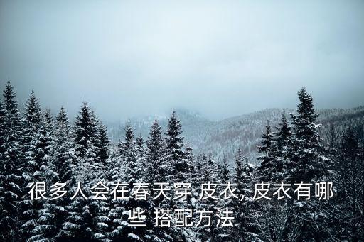 皮衣白色裙子搭配,小皮衣搭配什么裙子好看