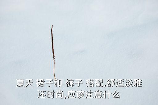 夏天 裙子和 裤子 搭配,舒适淡雅还时尚,应该注意什么