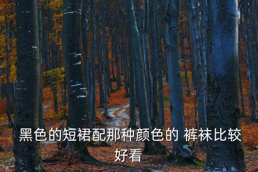  黑色的短裙配那种颜色的 裤袜比较好看