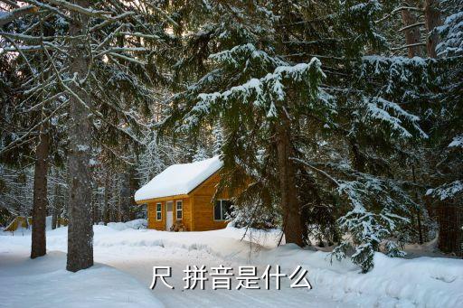 尺 拼音是什么