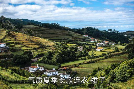 气质夏季长款连衣 裙子