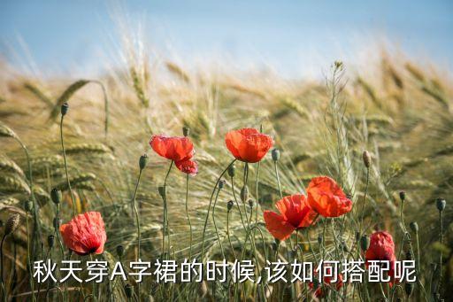 秋天穿A字裙的时候,该如何搭配呢
