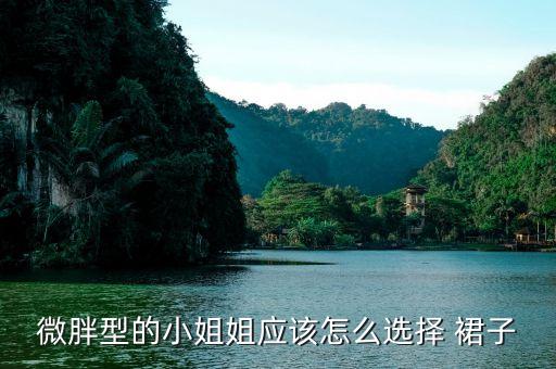 微胖型的小姐姐应该怎么选择 裙子