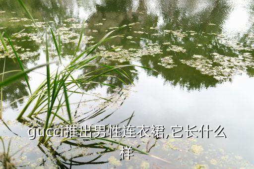 gucci推出男性连衣裙,它长什么样