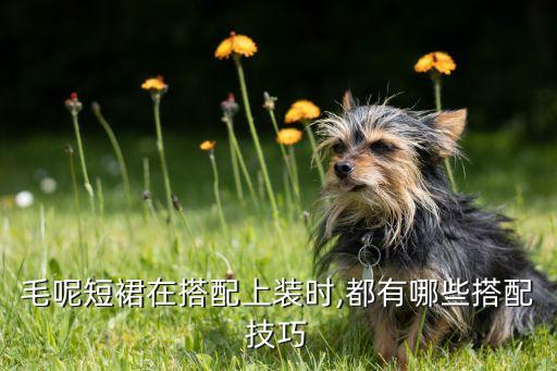 毛呢短裙在搭配上装时,都有哪些搭配技巧