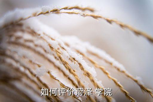 如何评价菏泽 学院