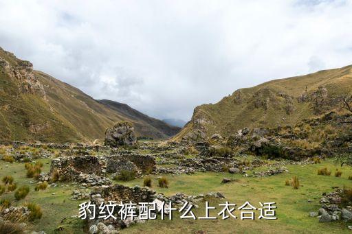  豹纹裤配什么上衣合适